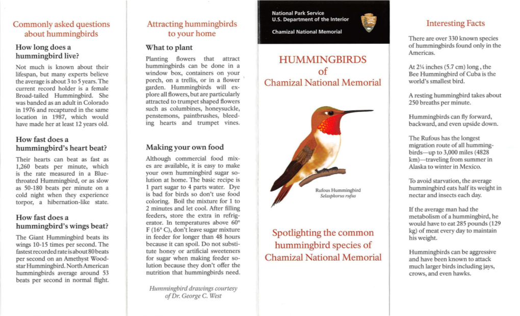 Hummingbirds