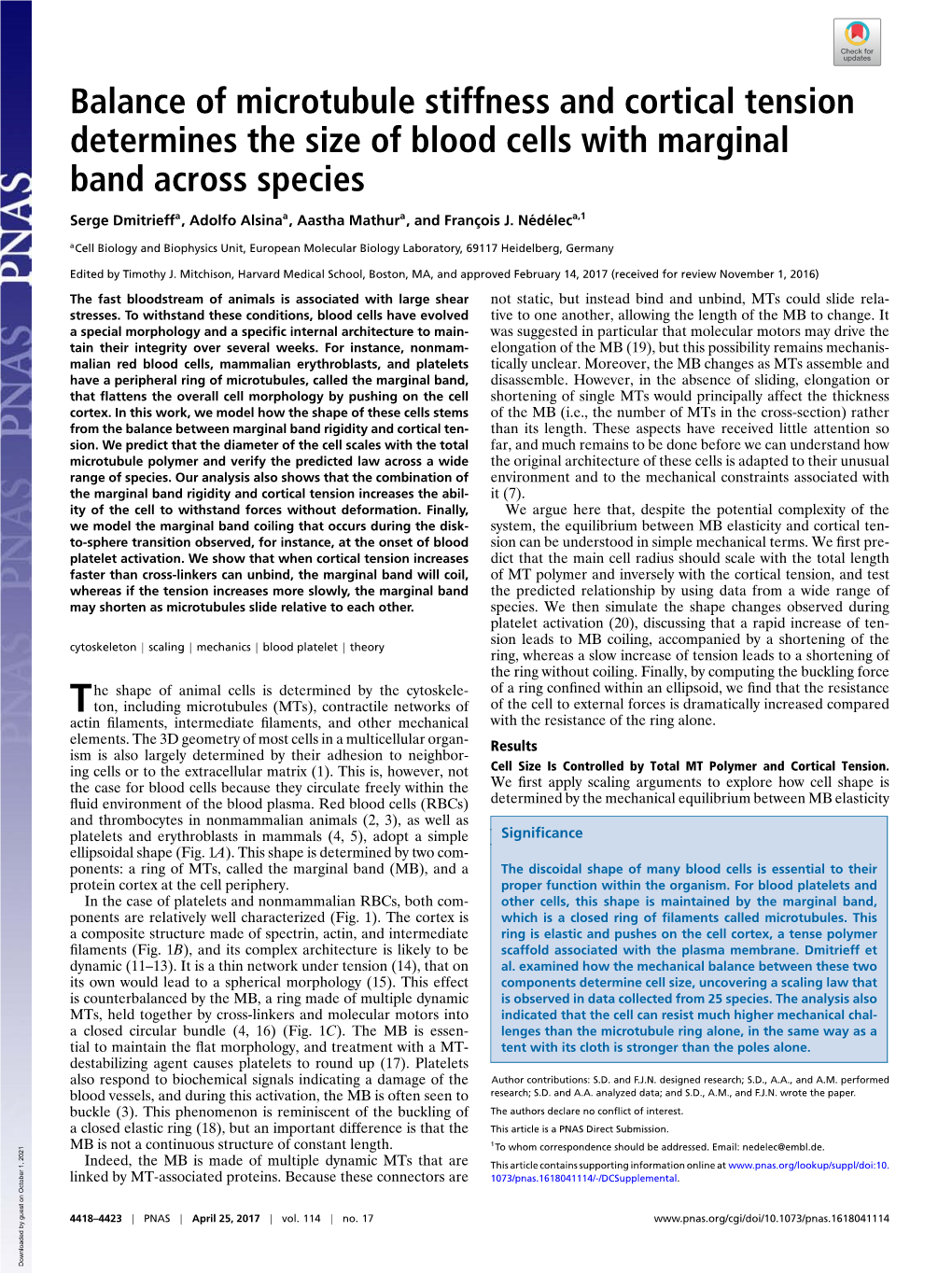 Balance of Microtubule Stiffness and Cortical Tension Determines the Size of Blood Cells with Marginal Band Across Species