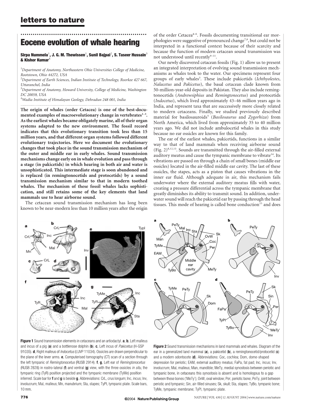 Eocene Evolution of Whale Hearing Interpreted in a Functional Context Because of Their Scarcity And