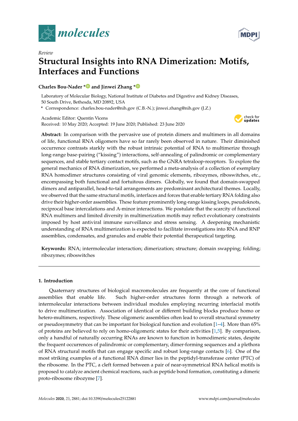 Structural Insights Into RNA Dimerization: Motifs, Interfaces and Functions