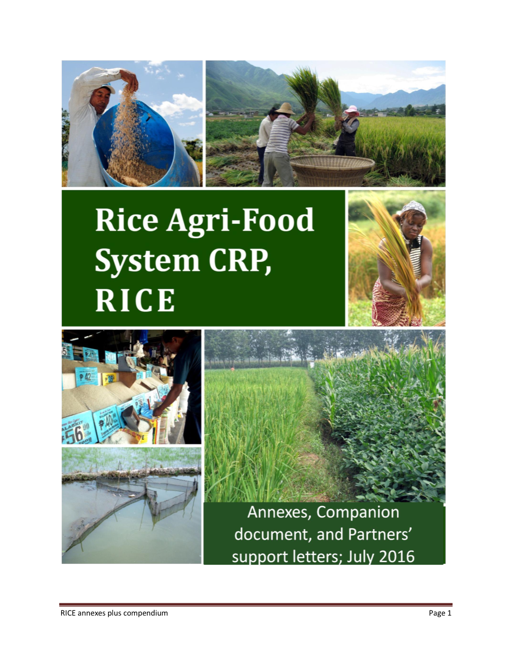 RICE Phase II Annexes