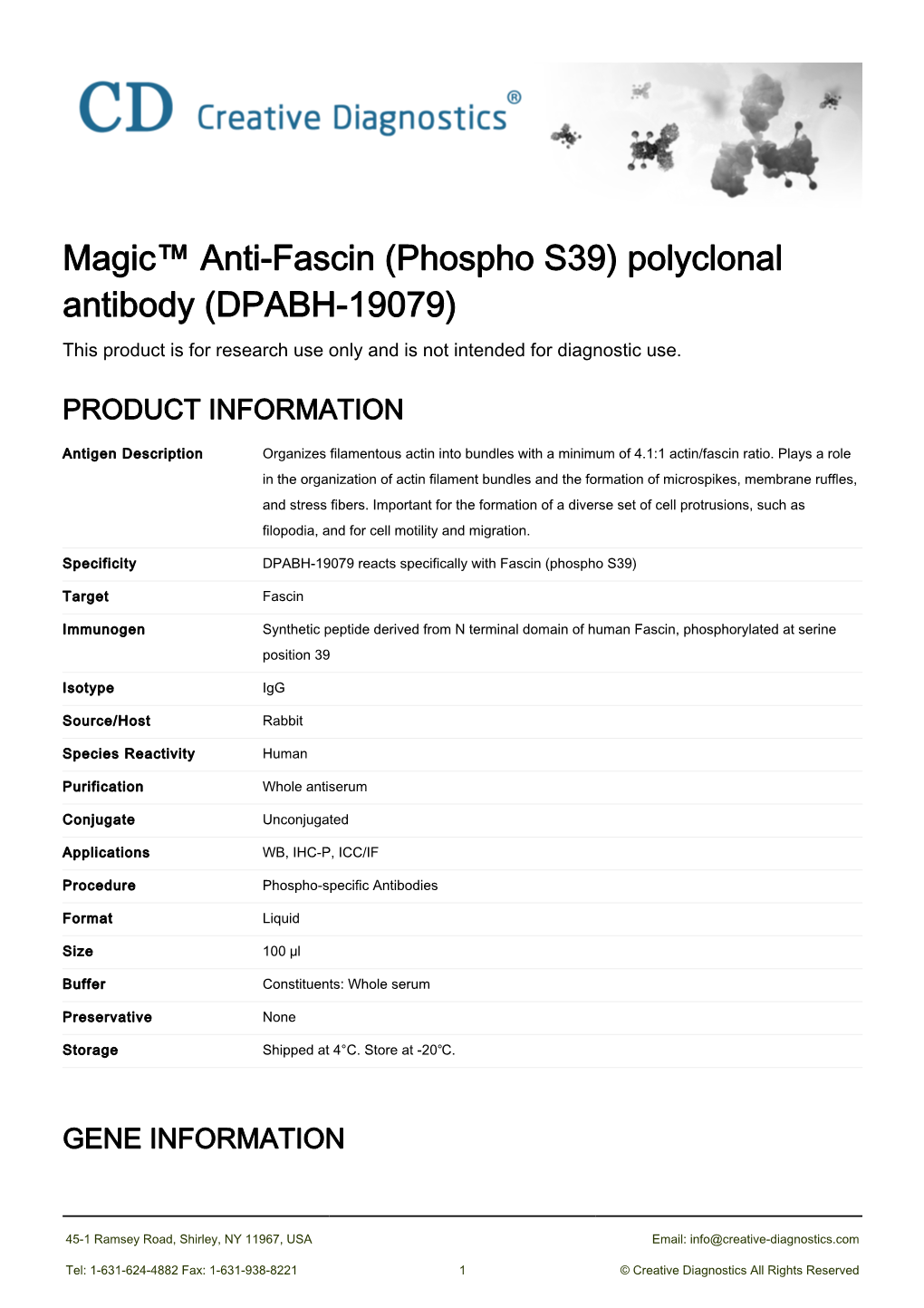 Magic™ Anti-Fascin (Phospho S39) Polyclonal Antibody (DPABH-19079) This Product Is for Research Use Only and Is Not Intended for Diagnostic Use