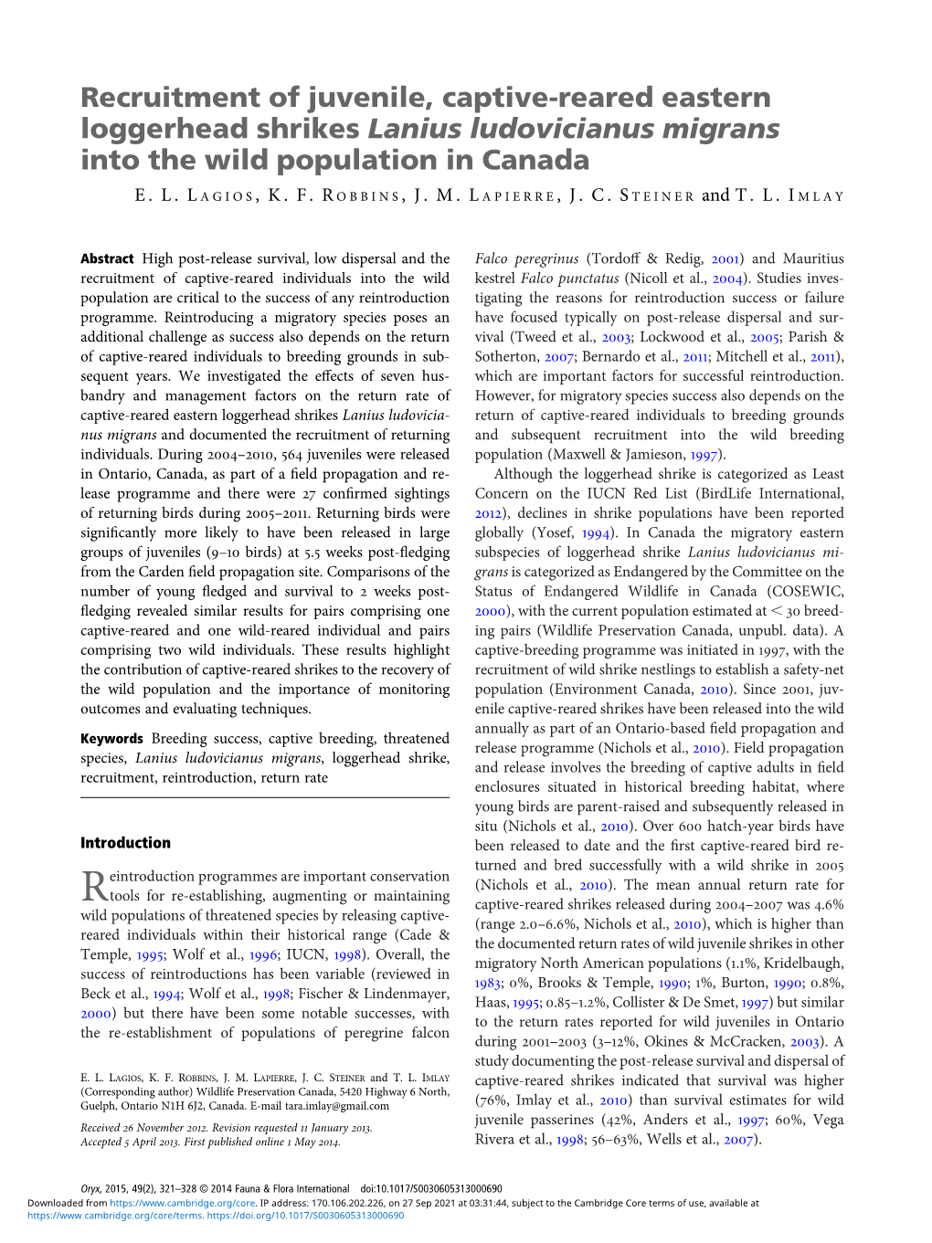 Recruitment of Juvenile, Captive-Reared Eastern Loggerhead Shrikes Lanius Ludovicianus Migrans Into the Wild Population in Canada