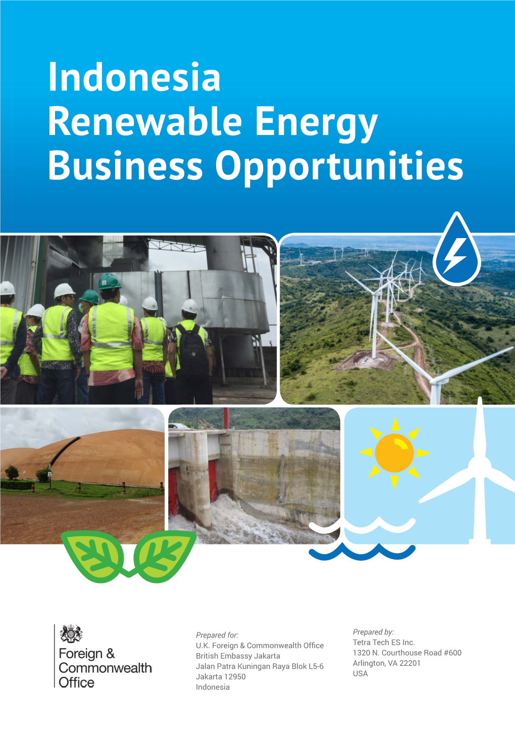 Indonesia Renewable Energy Business Opportunities