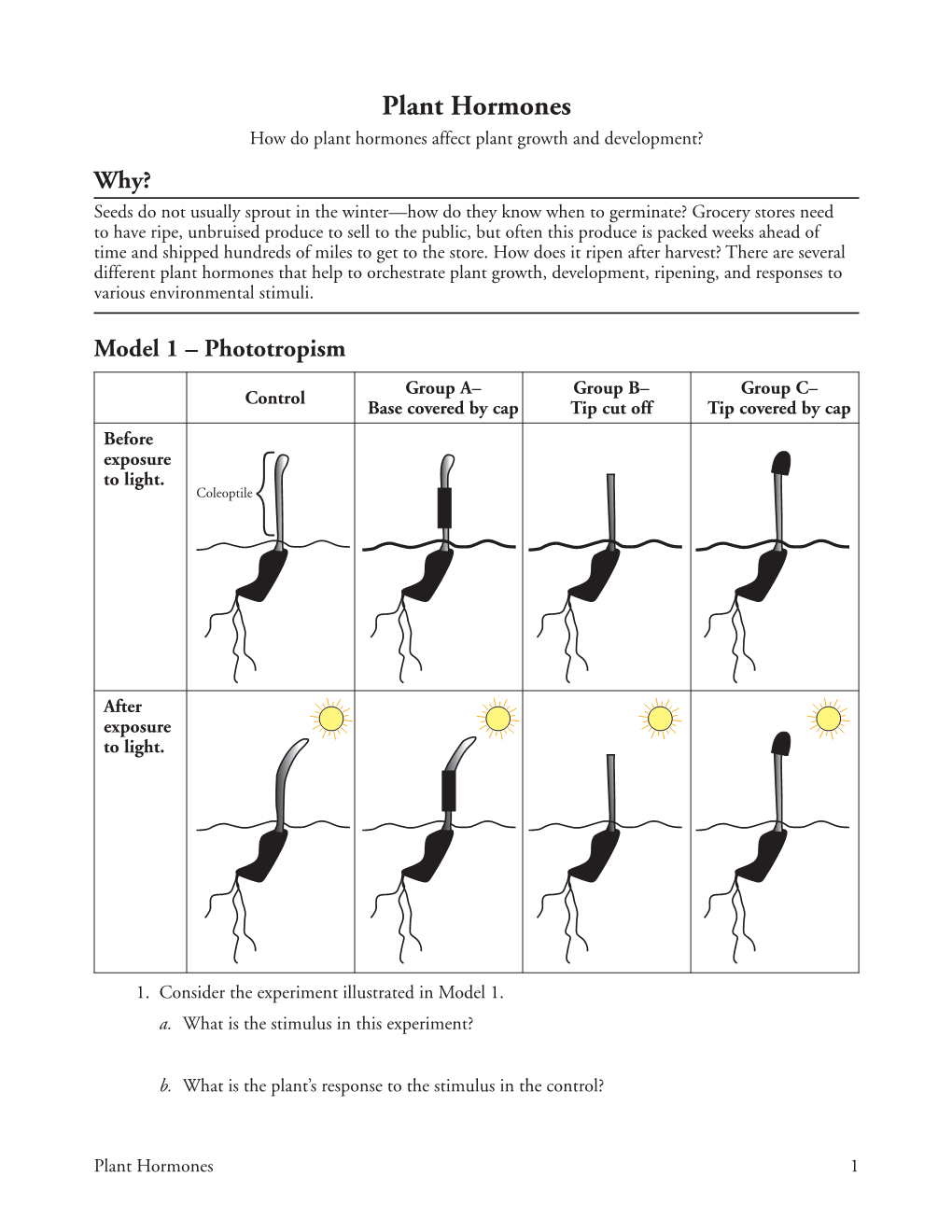 Plant Hormones