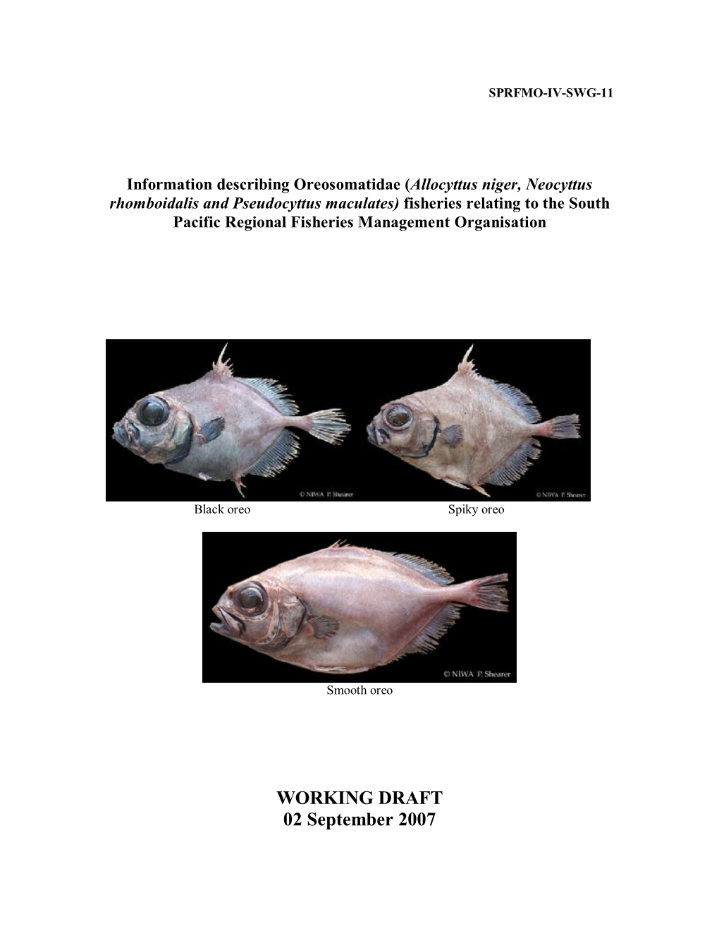 SPRFMO4 SWG 11 Species Profile