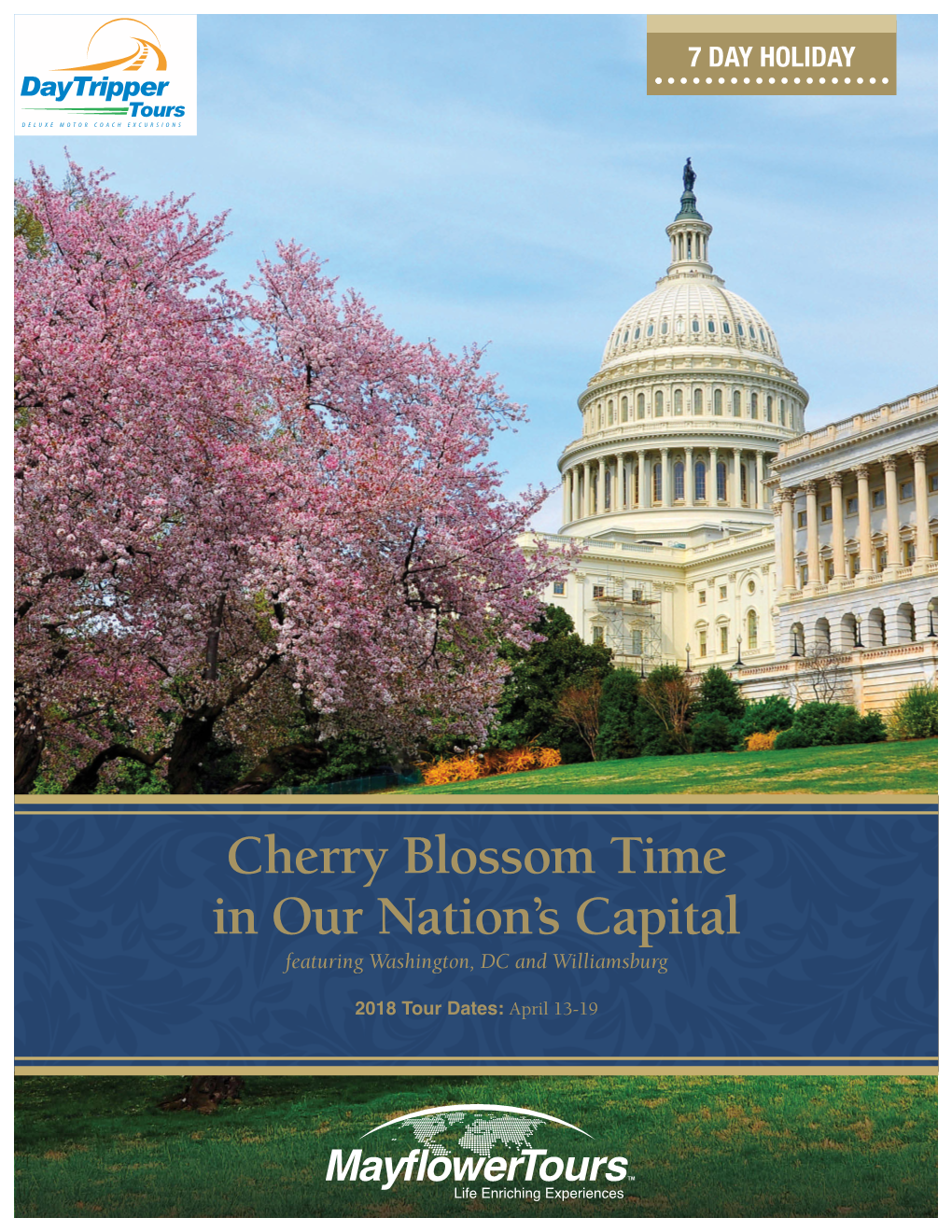 Cherry Blossom Time in Our Nation's Capital