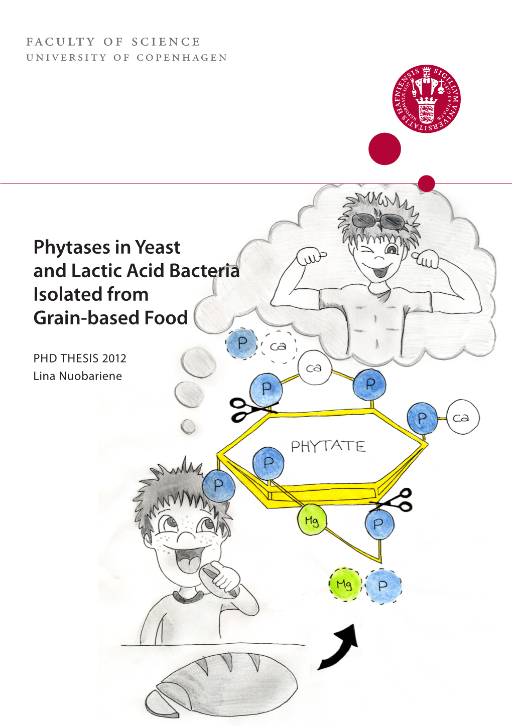 Phytases in Yeast and Lactic Acid Bacteria Isolated from Grain-Based Food