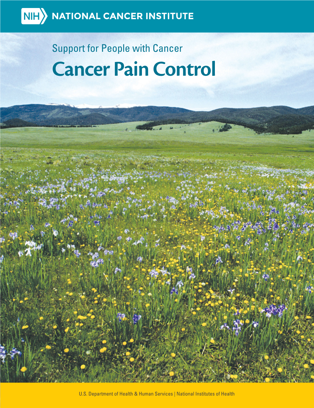 Support for People with Cancer: Pain Control