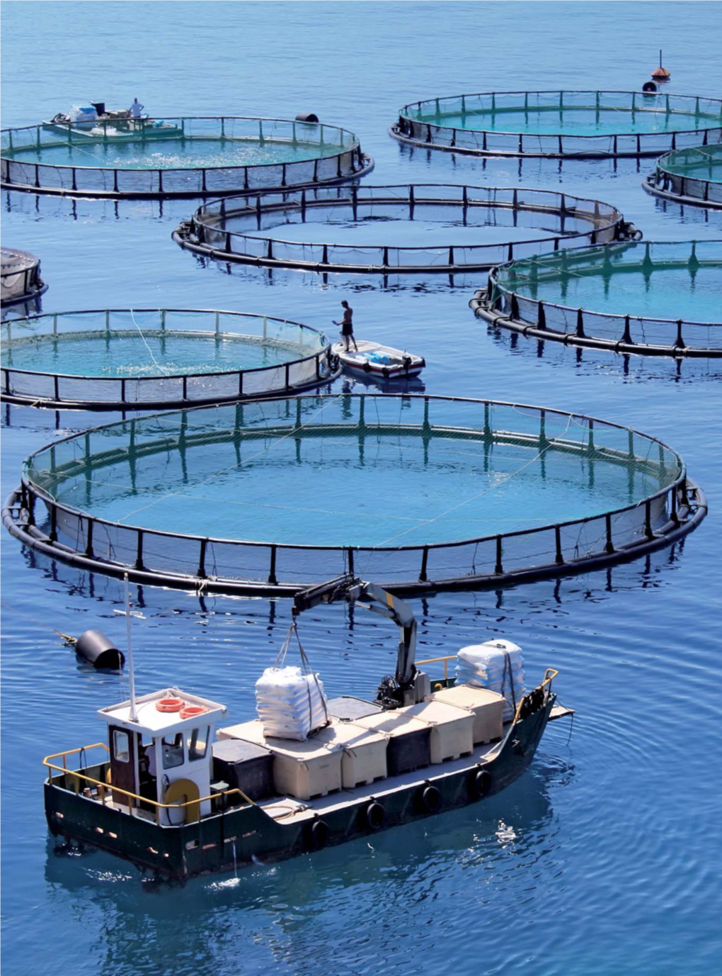 Aquaculture in Galicia