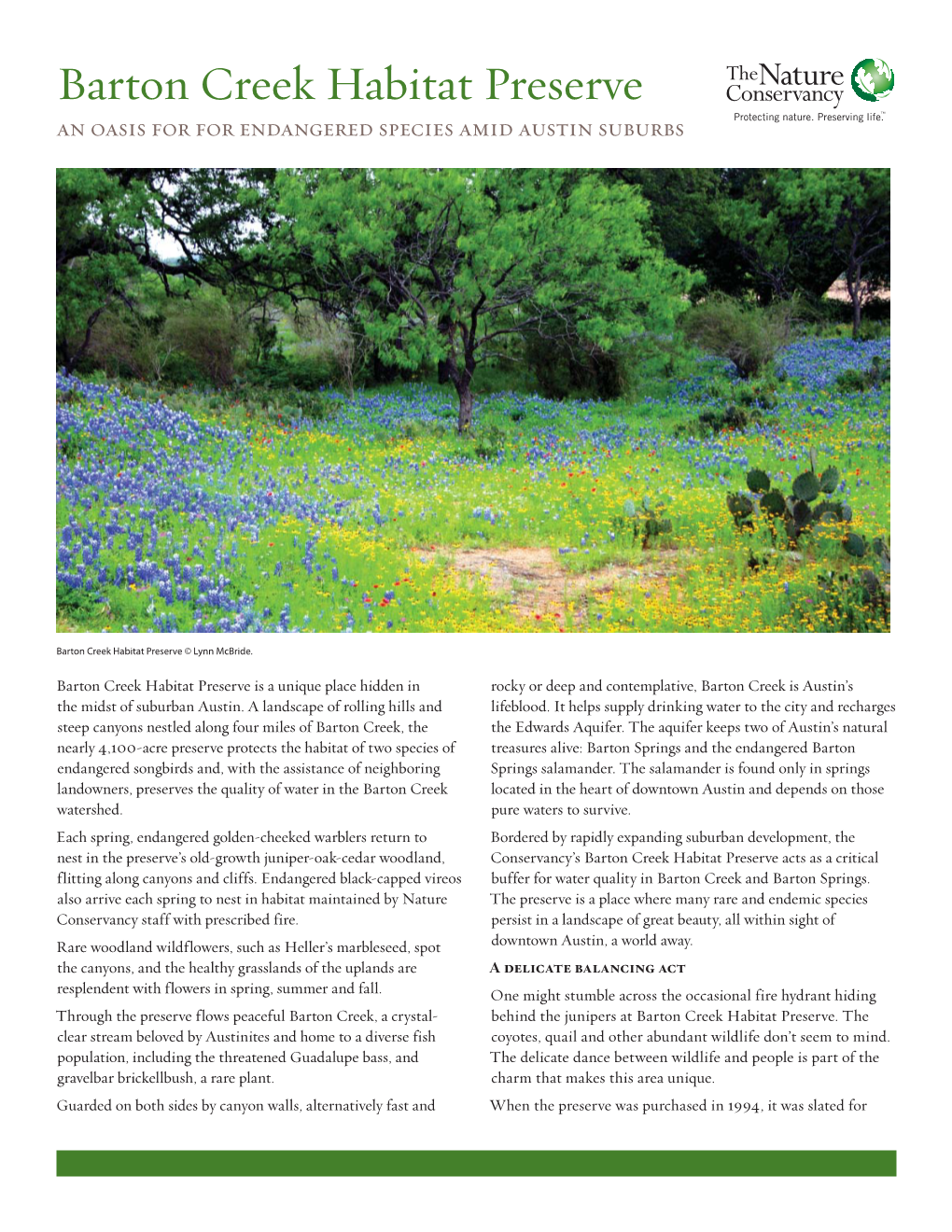 Barton Creek Habitat Preserve an Oasis for for Endangered Species Amid Austin Suburbs