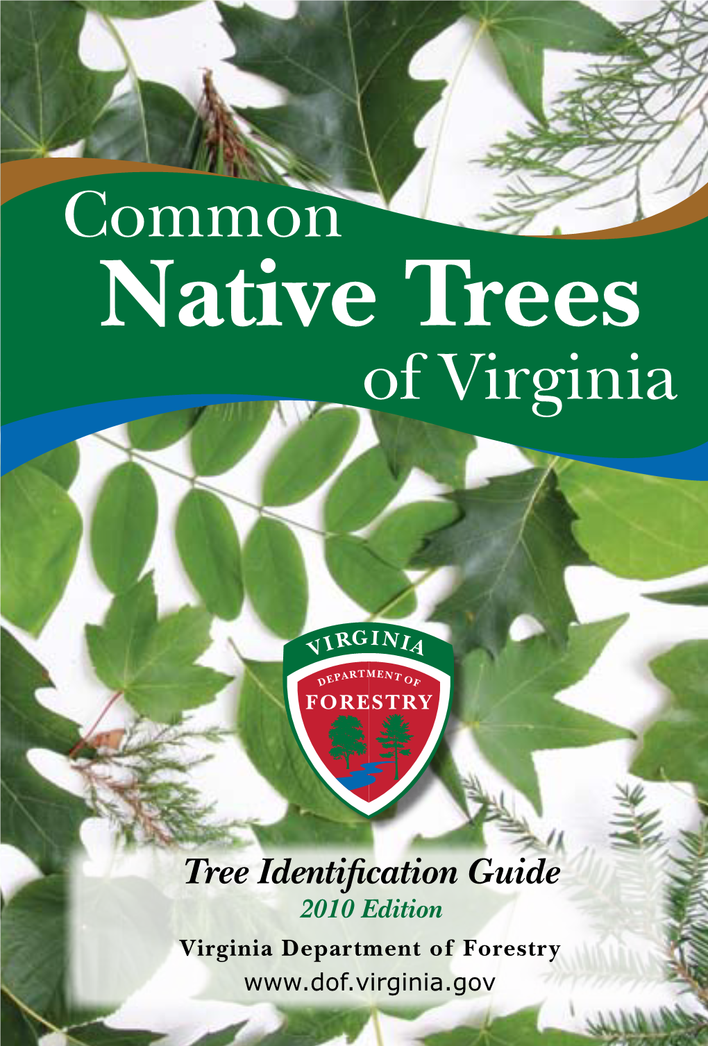 Common Native Trees of Virginia