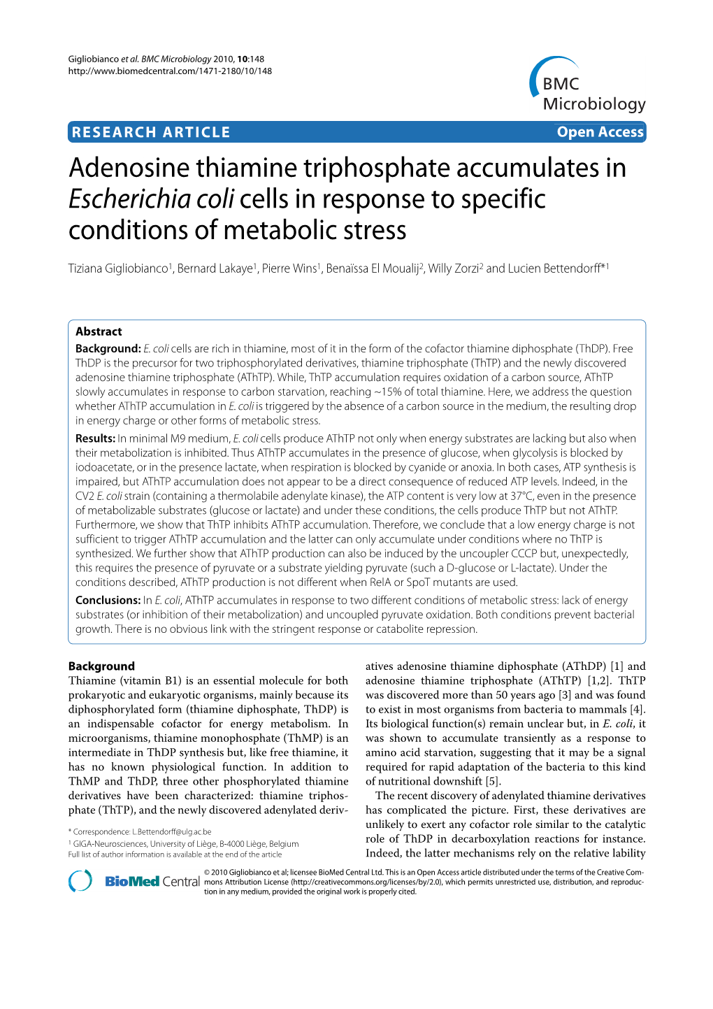 Adenosine Thiamine Triphosphate Accumulates in Escherichia