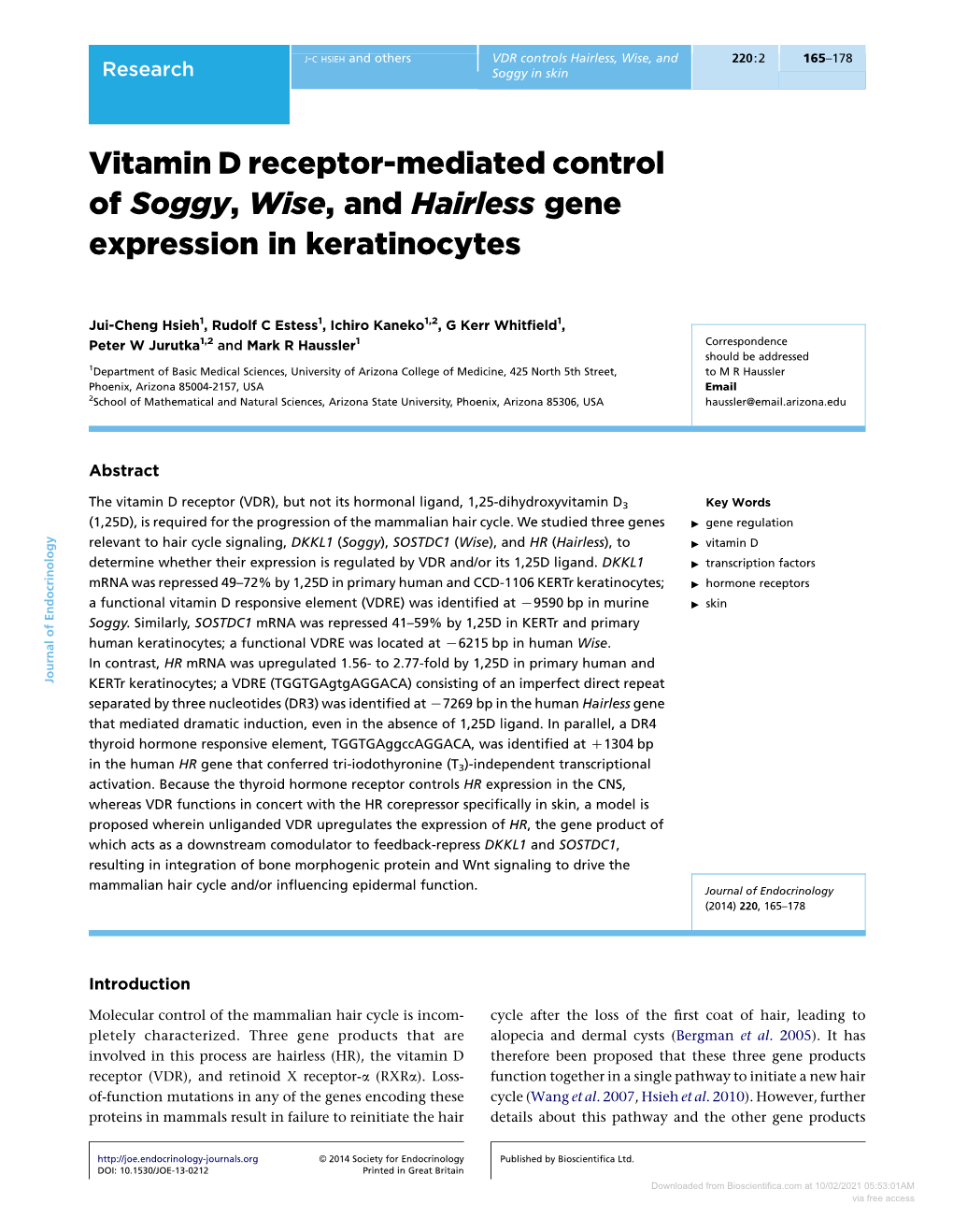 Vitamin D Receptor-Mediated Control of Soggy, Wise, and Hairless Gene Expression in Keratinocytes