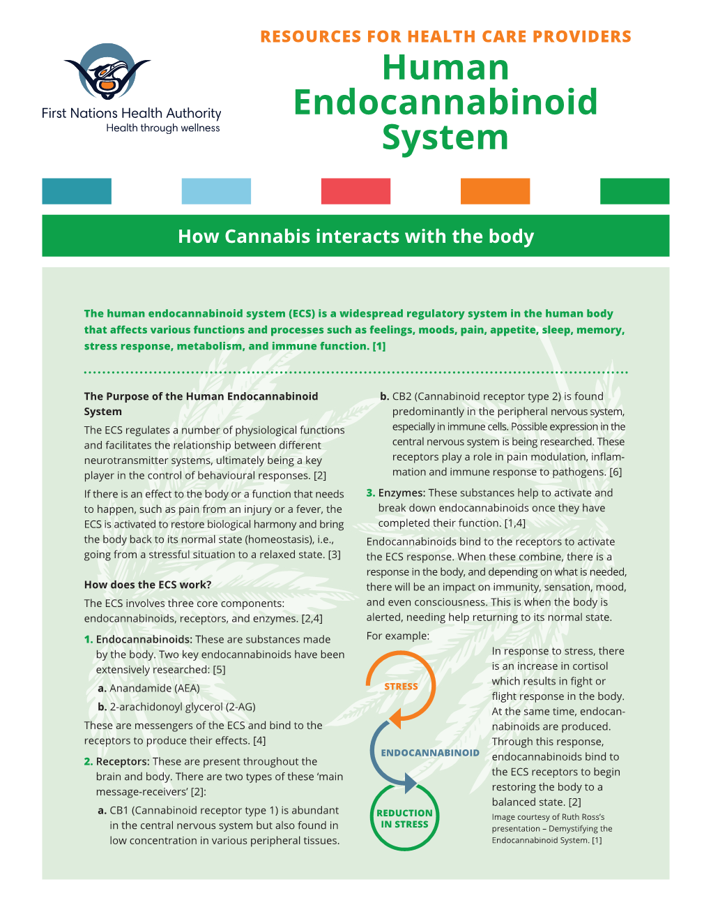 Human Endocannabinoid System