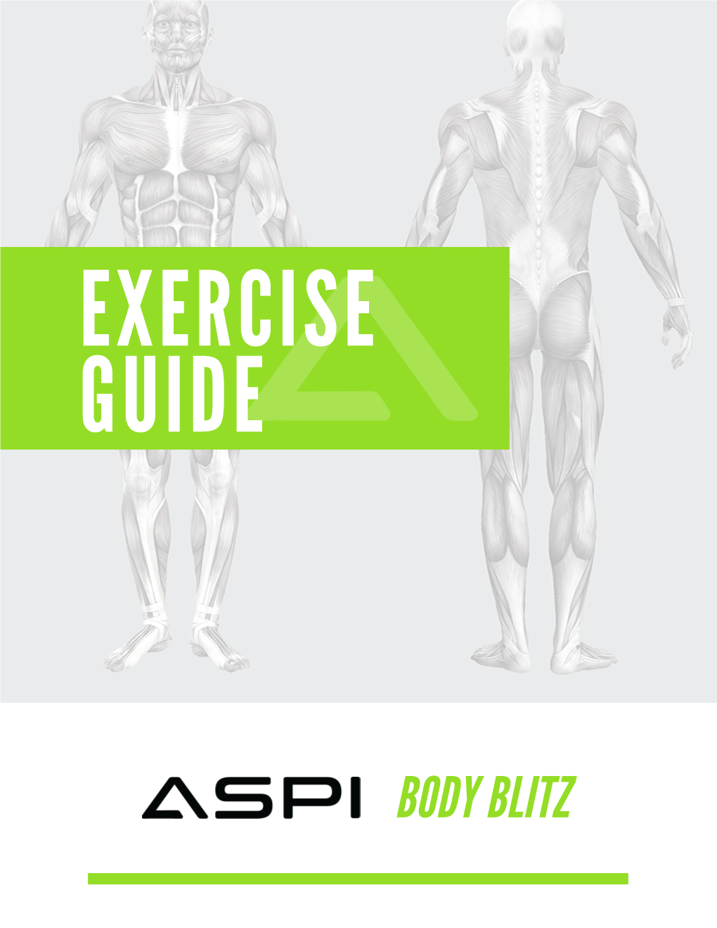 Aspi at Home Workouts