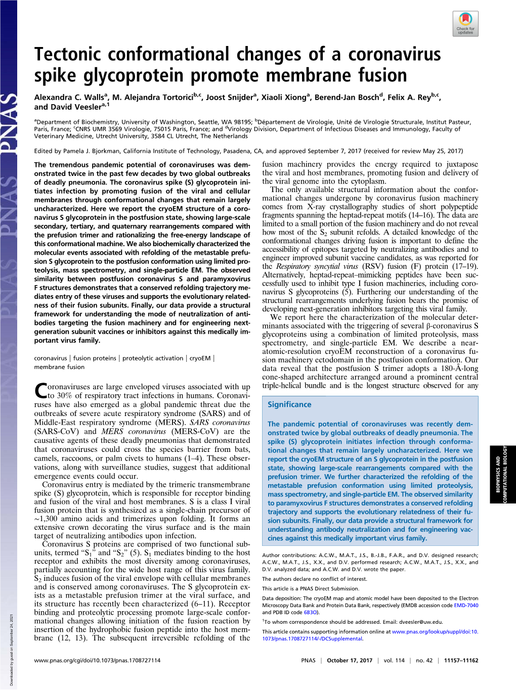 Tectonic Conformational Changes of a Coronavirus Spike Glycoprotein Promote Membrane Fusion