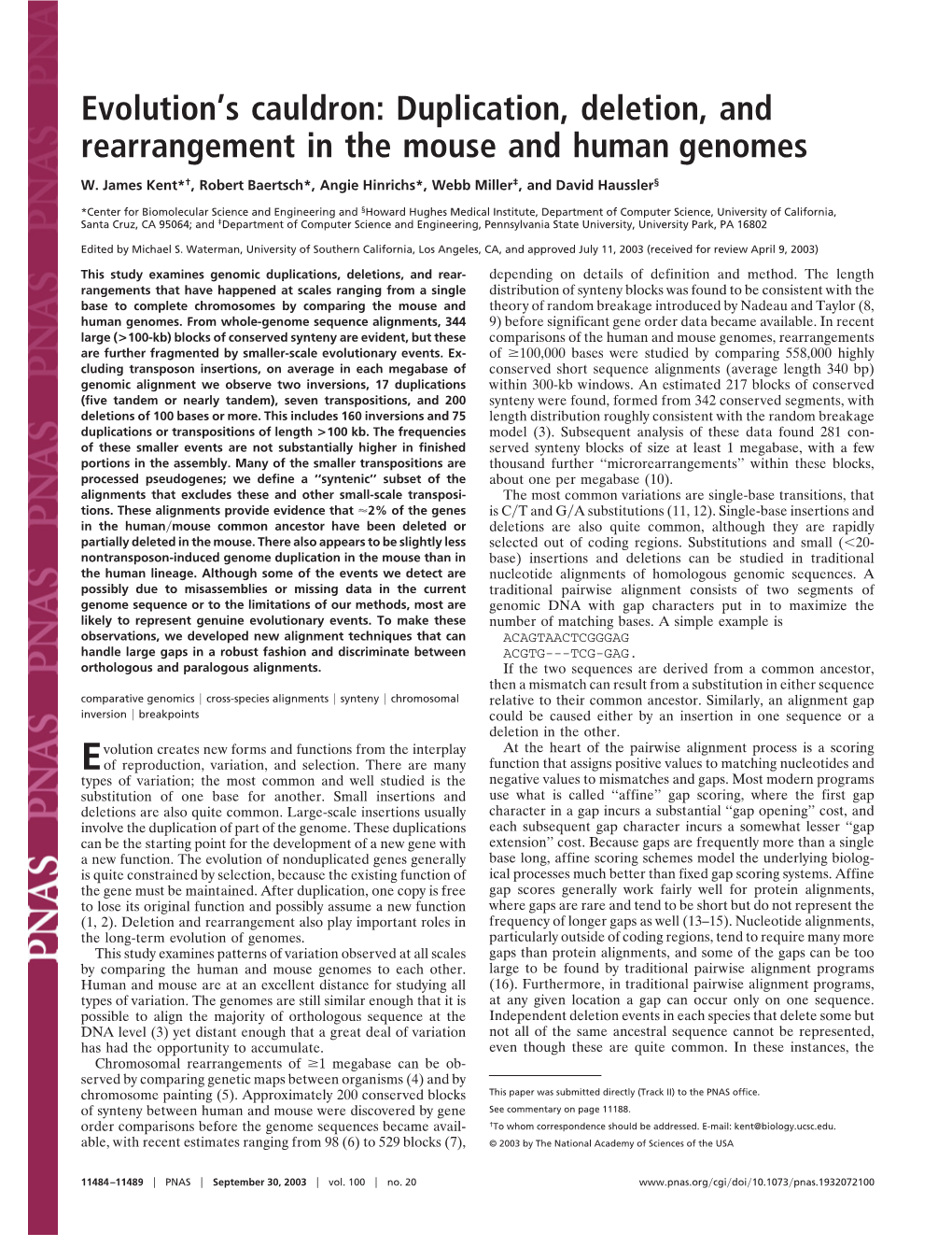 Duplication, Deletion, and Rearrangement in the Mouse and Human Genomes