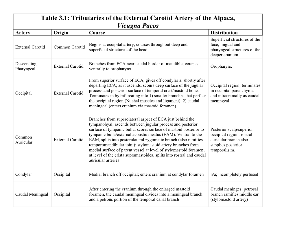 Tributaries of the External Carotid Artery of the Alpaca, Vicugna Pacos