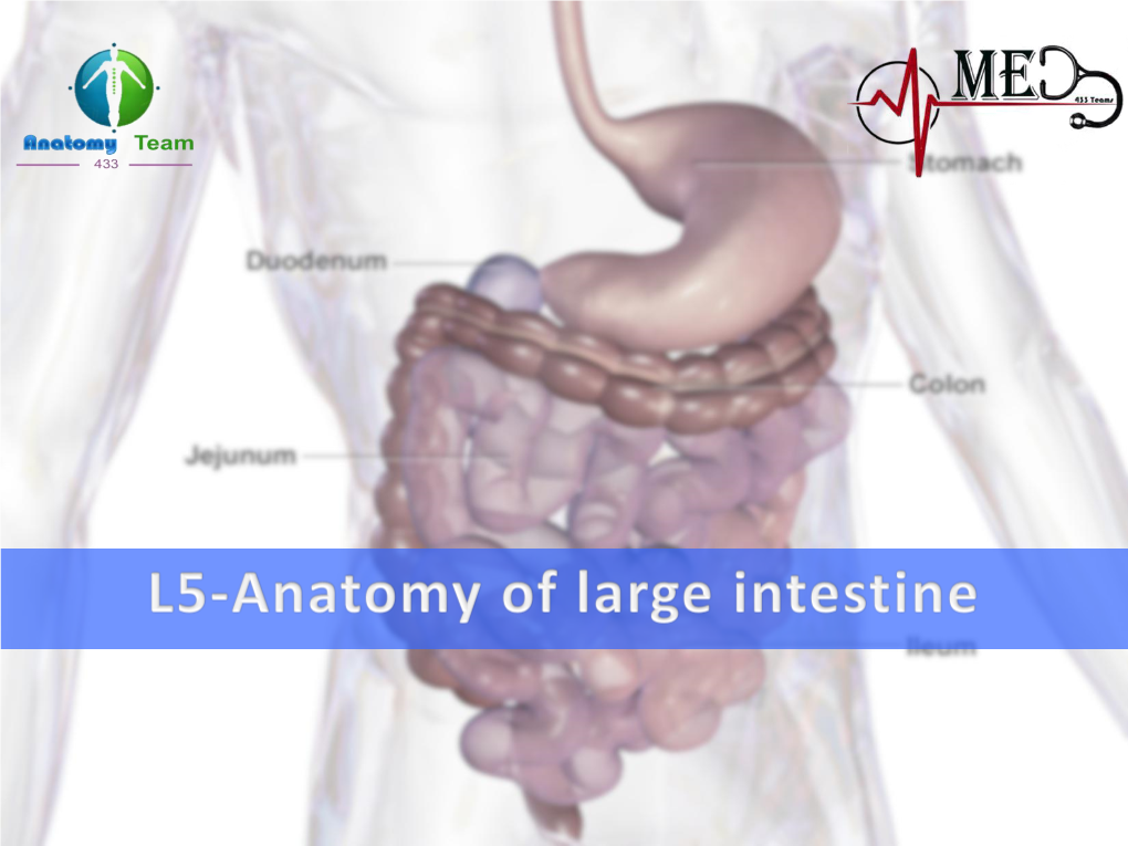 Appendix =(Sigmoid Pelvis)