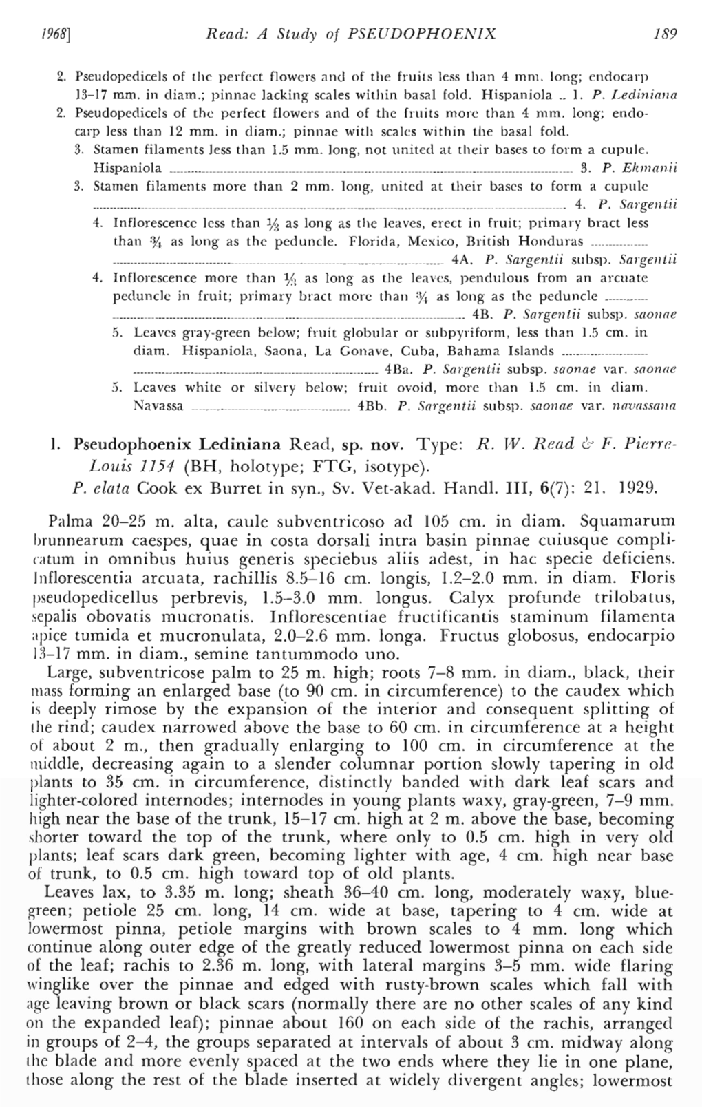 I. Pseudophoenix Lediniana Read, Sp. Nov. Type: R. W. Read 6·' F
