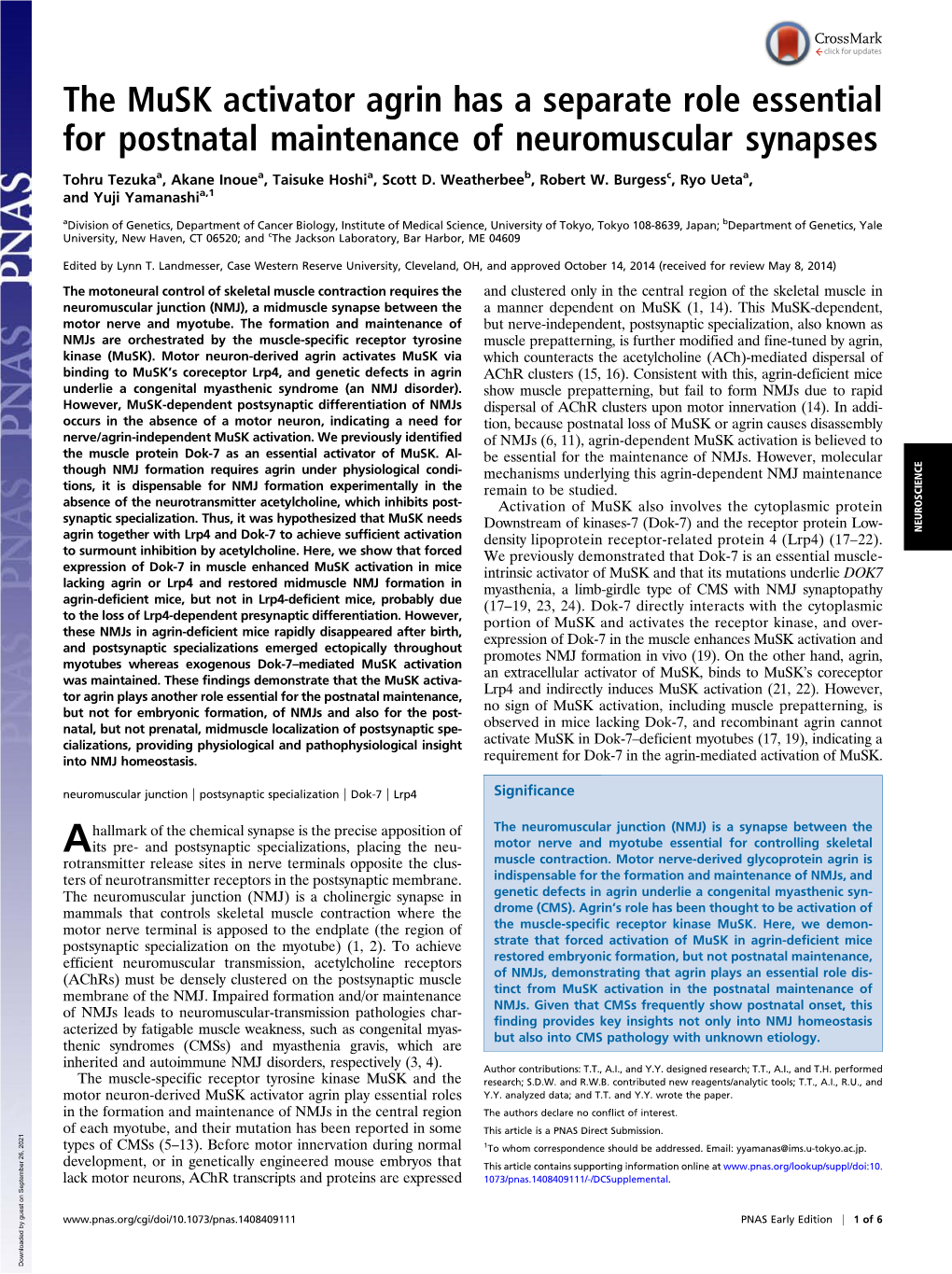 The Musk Activator Agrin Has a Separate Role Essential for Postnatal Maintenance of Neuromuscular Synapses