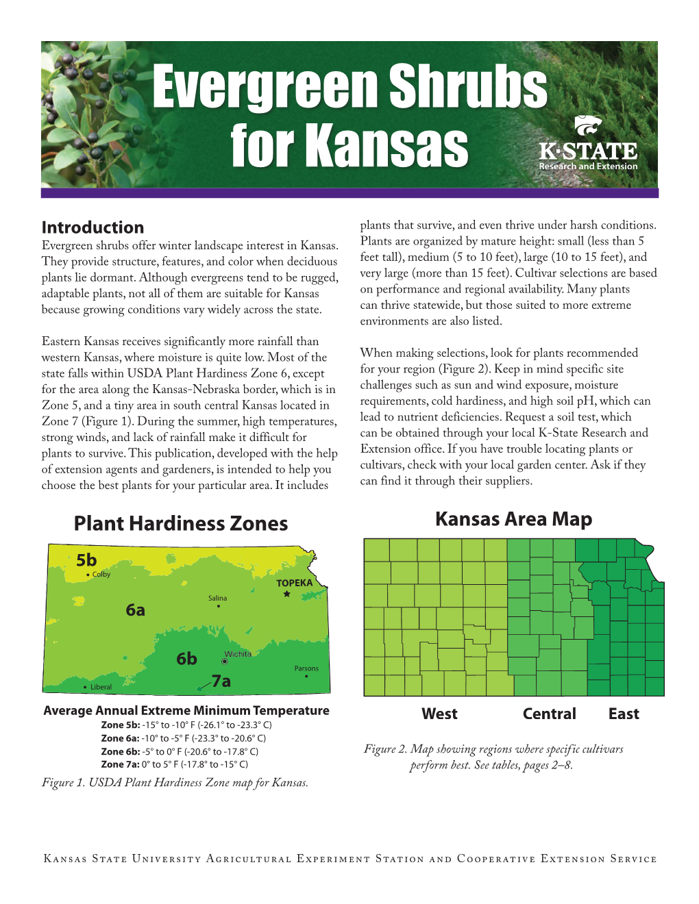 MF3117 Evergreen Shrubs for Kansas