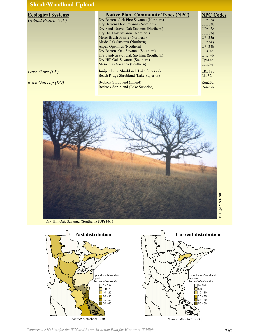 Shrub/Woodland-Upland