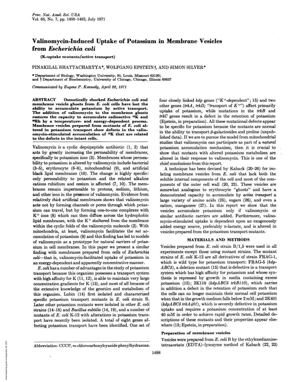 Valinomycin-Induced Uptake of Potassium in Membrane Vesicles