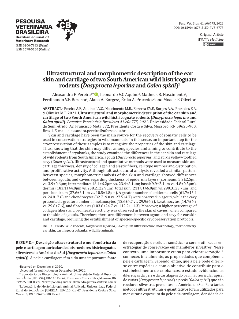 Ultrastructural and Morphometric Description of the Ear Skin