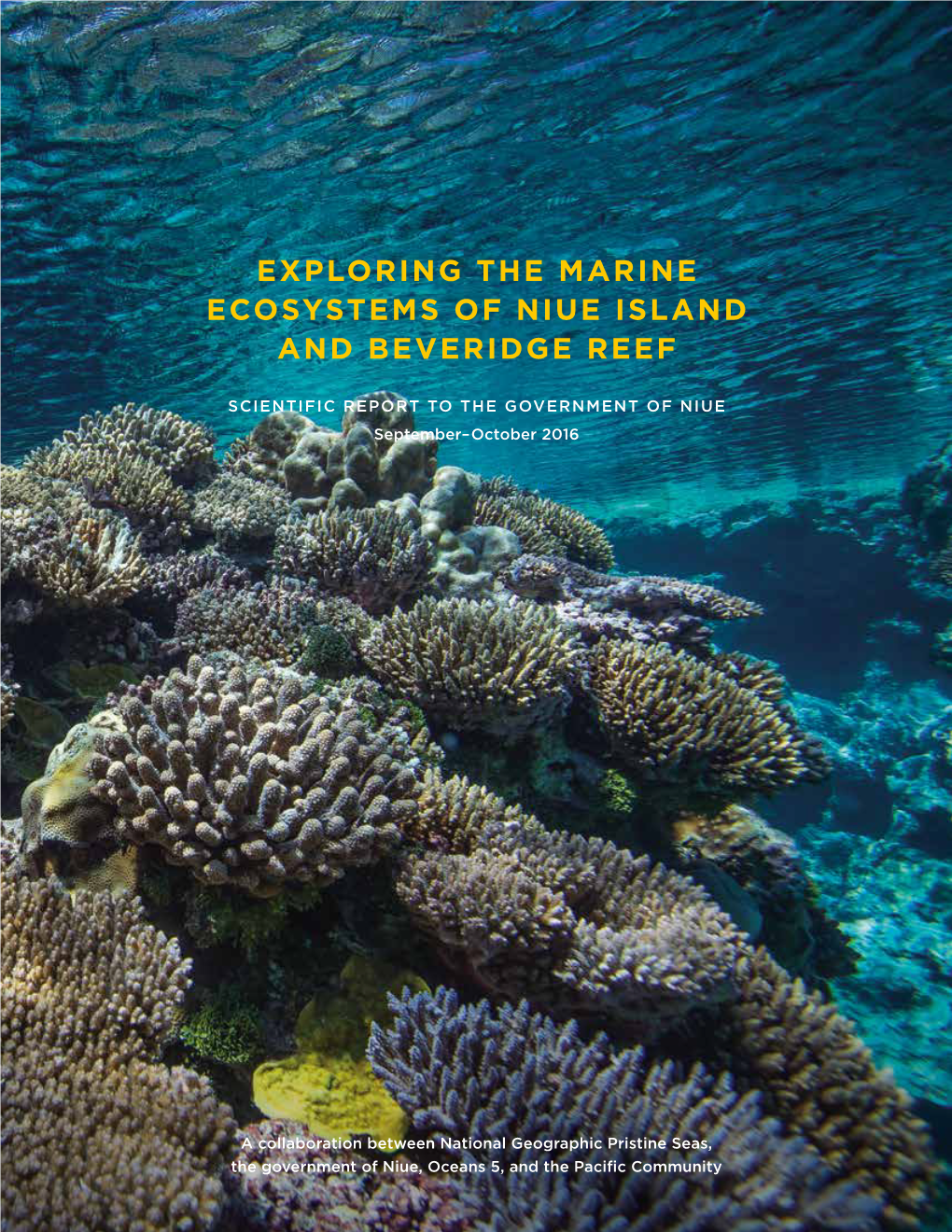 Exploring the Marine Ecosystems of Niue Island and Beveridge Reef