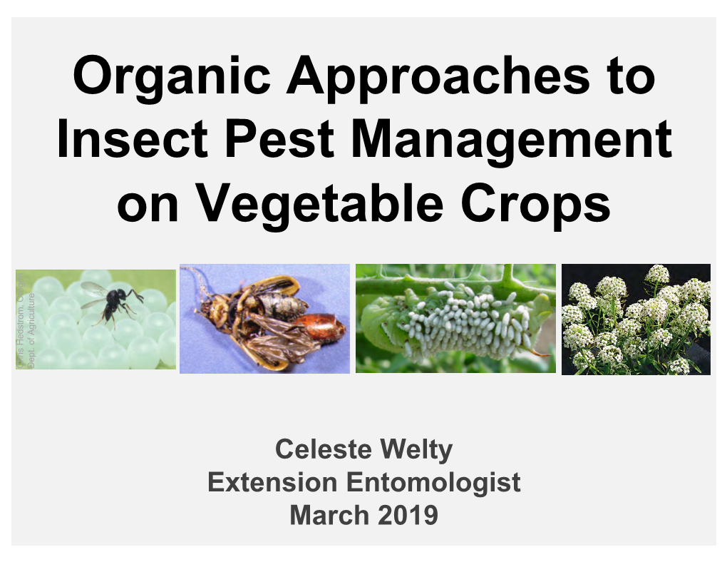 Organic Approaches to Insect Pest Management on Vegetable Crops , Oregon , Oregon Hedstrom Chris Dept