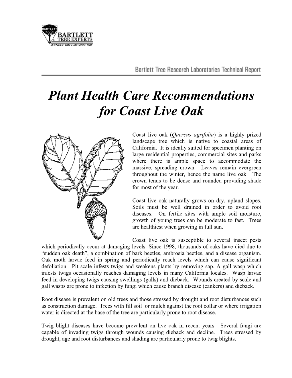 Plant Health Care Recommendations for Coast Live Oak