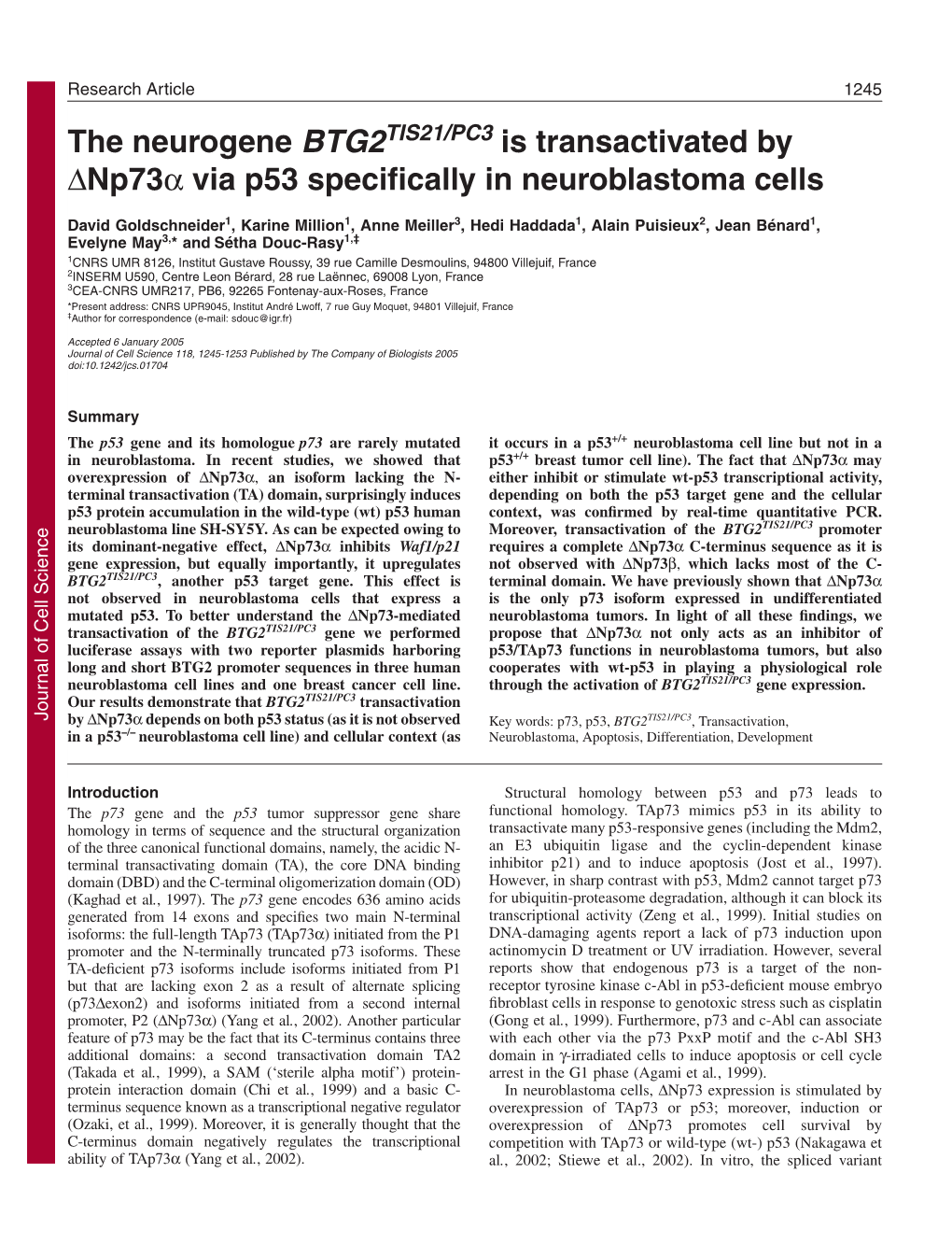 The Neurogene BTG2 Is Transactivated by ∆Np73α Via P53 Specifically In