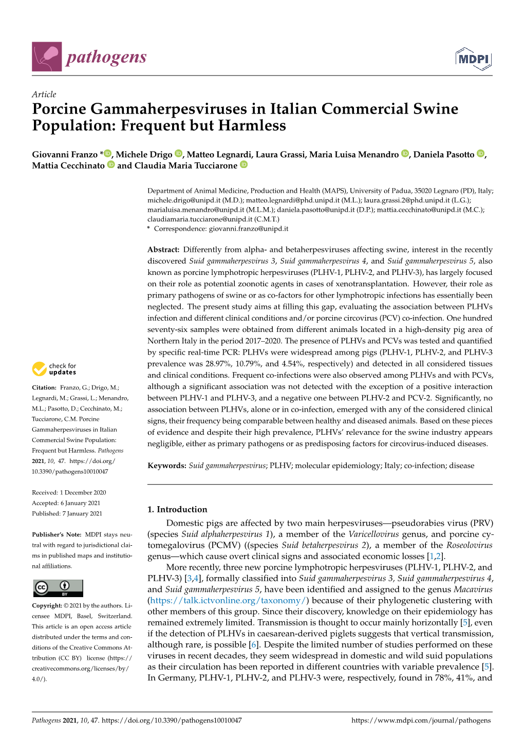 Porcine Gammaherpesviruses in Italian Commercial Swine Population: Frequent but Harmless