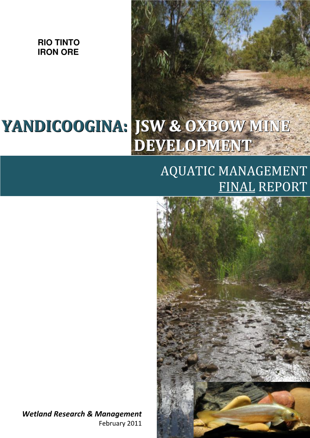 Yandi Aquatic Management Report