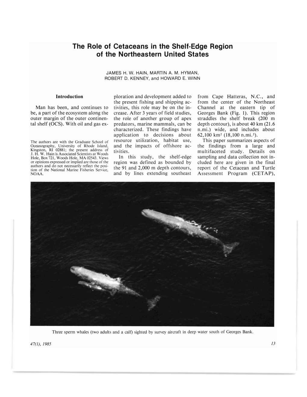 The Role of Cetaceans in the Shelf-Edge Region of the Northeastern United States