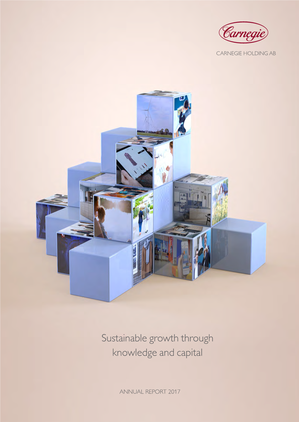 Sustainable Growth Through Knowledge and Capital