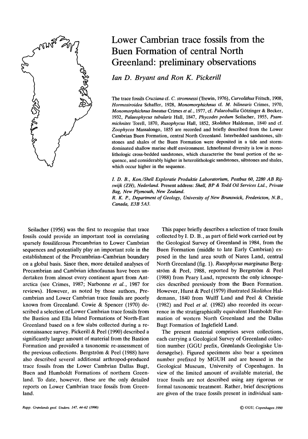 Lower Cambrian Trace Fossils from the Buen Formation of Central North Greenland: Preliminary Observations Ian D