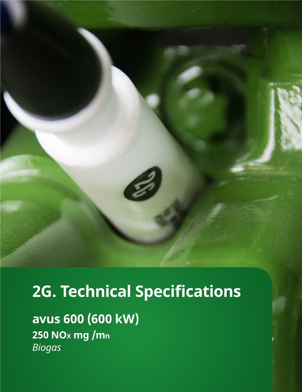 2G. Technical Specifications Avus 600 (600 Kw) 250 NOX Mg /Mn Biogas