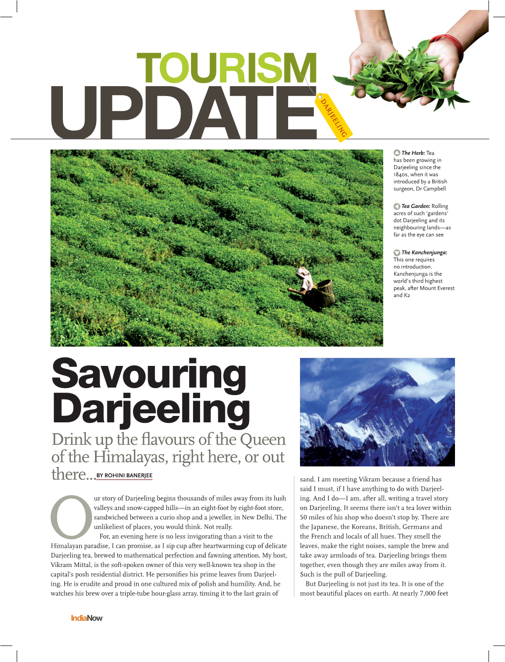 Savouring Darjeeling TOURISM