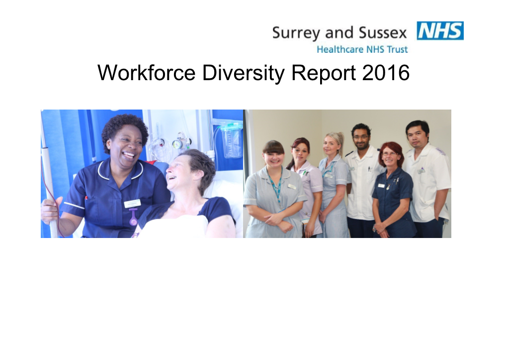Workforce Diversity Report 2016
