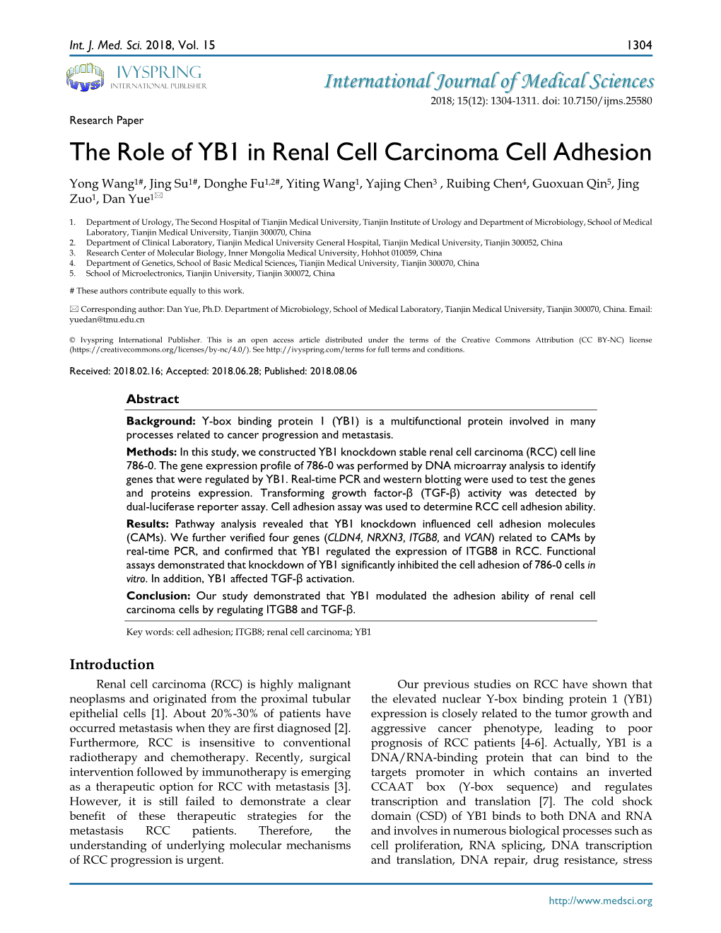 The Role of YB1 in Renal Cell Carcinoma Cell Adhesion