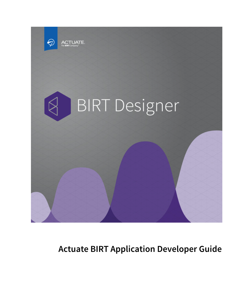 Actuate BIRT Application Developer Guide Information in This Document Is Subject to Change Without Notice