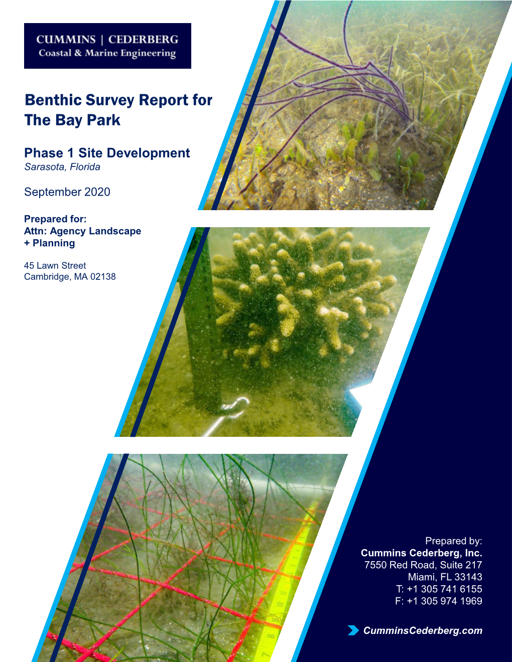 The Bay Benthic Survey