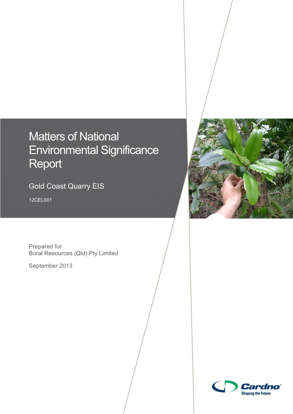 Matters of National Environmental Significance Report Gold Coast Quarry EIS