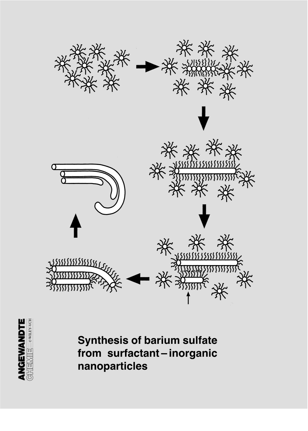 The Chemistry of Form