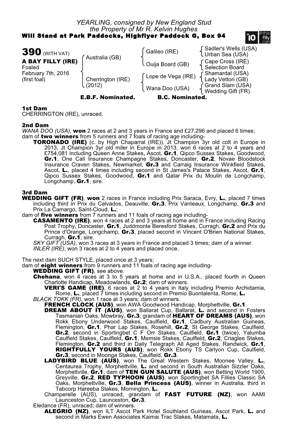YEARLING, Consigned by New England Stud the Property of Mr R