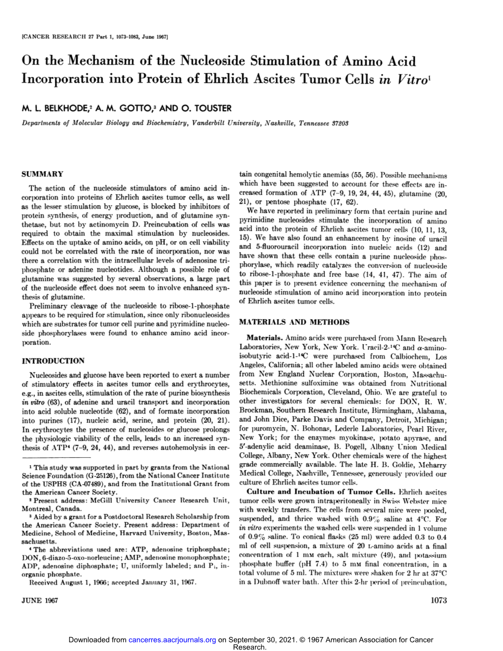 On the Mechanism of the Nucleoside Stimulation of Amino Acid Incorporation Into Protein of Ehrlich Ascites Tumor Cells in Vitro{