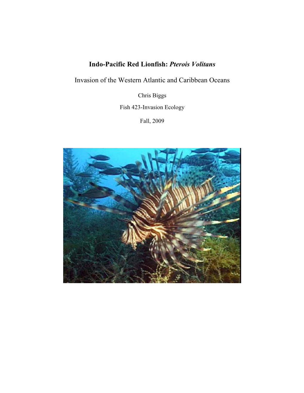 Indo-Pacific Red Lionfish: Pterois Volitans Invasion of the Western